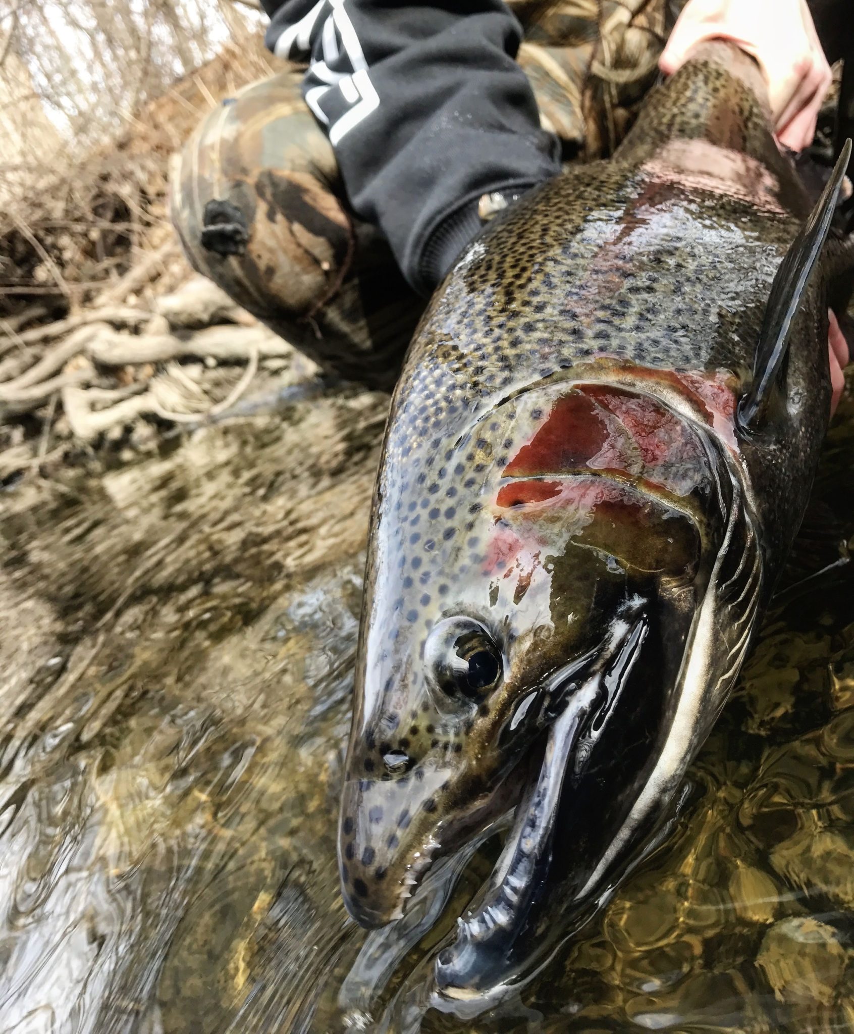 Wisconsin River Fishing Guides - Fin N' Fly Sportfishing