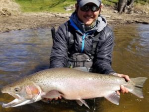 Lake Michigan Steelhead